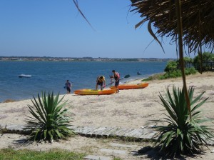 Kayak Aveiro - Portugal - Riactiva Escola