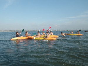 Kayak games riactiva